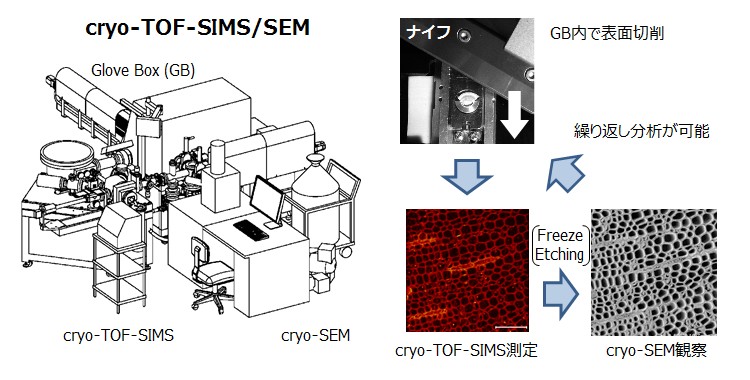 cryo-TOF-SIMS/SEMシステム