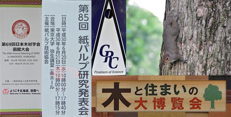 発表 2009-
