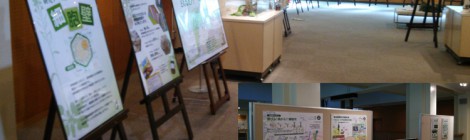 名大博物館スポット展示：植物細胞壁のミクロの世界